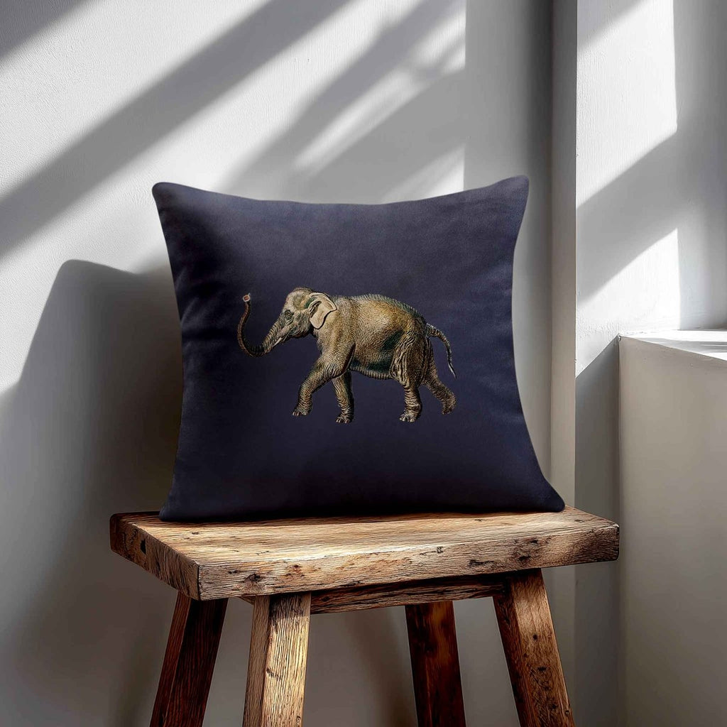 Elephant | Sustainable Velvet Cushion - Graphite 40 x 40 cm Standard by Izabela Peters