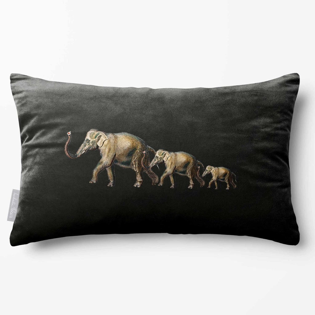 Elephants | Sustainable Velvet Rectangle Cushion - Charcoal 50 x 30 cm Standard by Izabela Peters