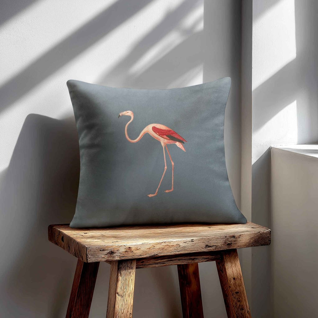 Flamingo | Sustainable Velvet Cushion - French Grey 40 x 40 cm Standard by Izabela Peters