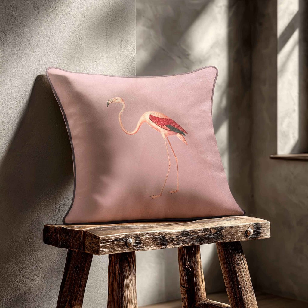 Flamingo | Sustainable Velvet Cushion - Rosewater 40 x 40 cm Standard by Izabela Peters