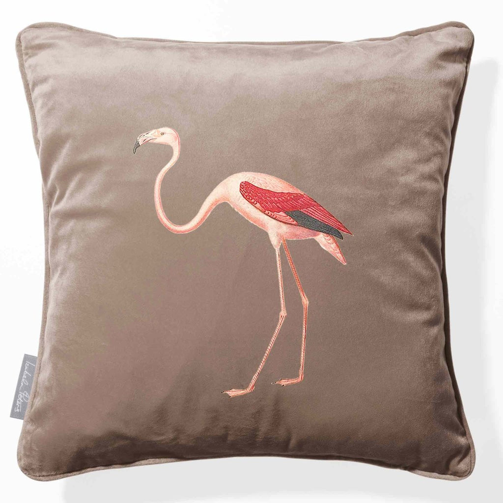 Flamingo | Sustainable Velvet Cushion - Dovedale Stone 40 x 40 cm Piped by Izabela Peters