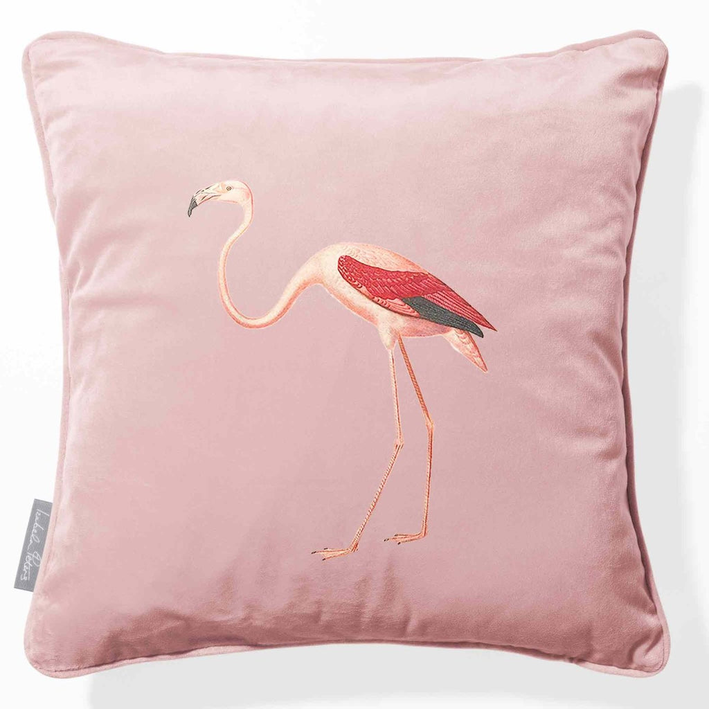 Flamingo | Sustainable Velvet Cushion - Rosewater 40 x 40 cm Piped by Izabela Peters
