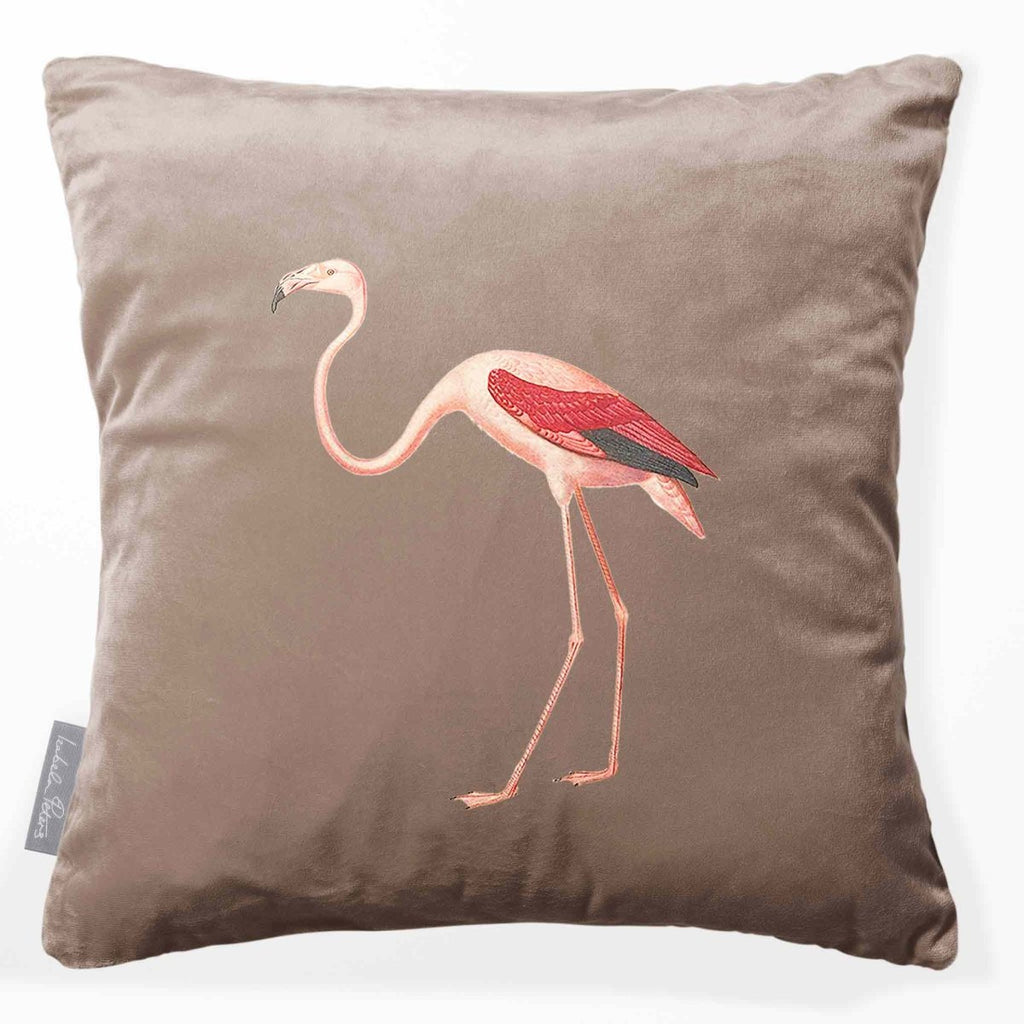 Flamingo | Sustainable Velvet Cushion - Dovedale Stone 40 x 40 cm Smooth by Izabela Peters