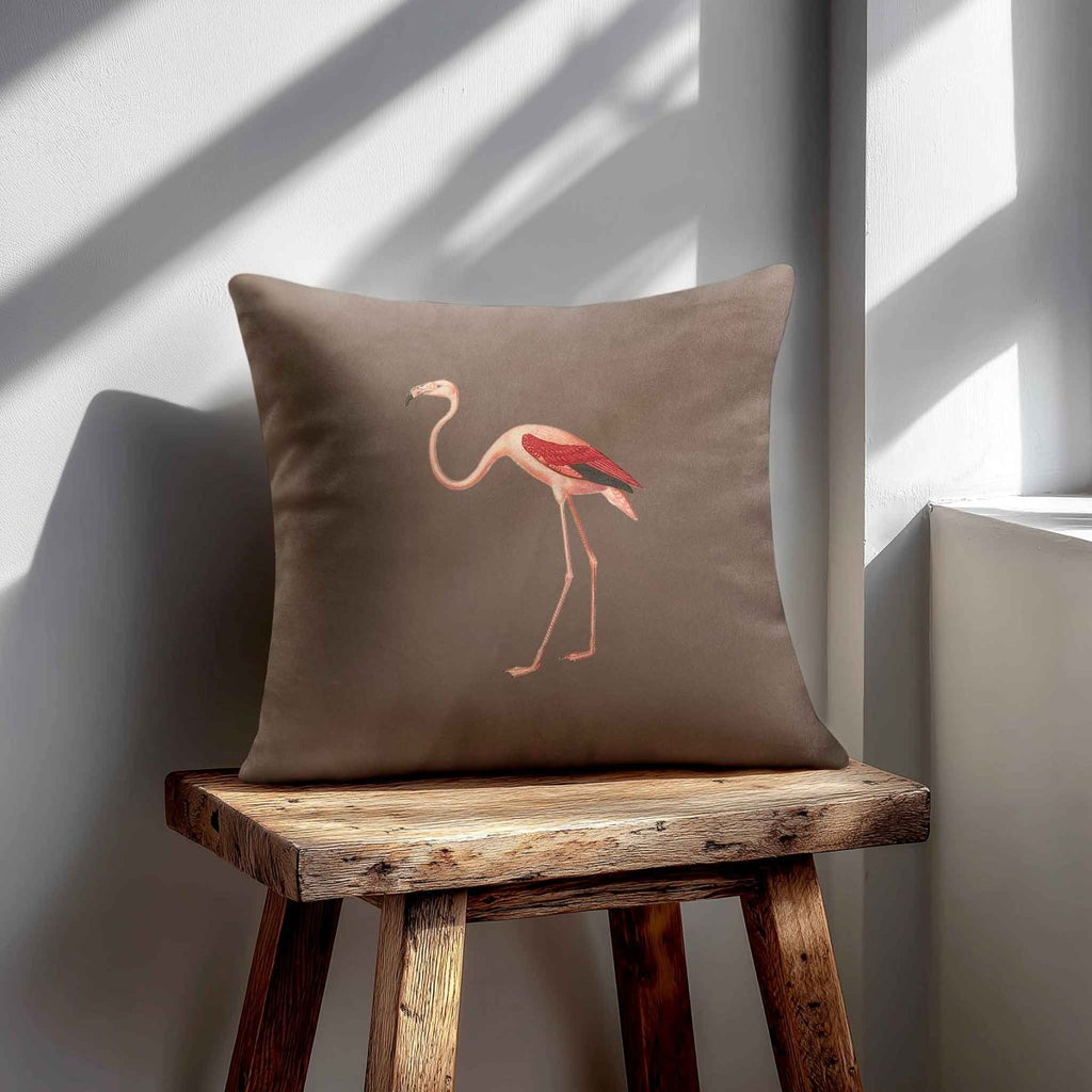 Flamingo | Sustainable Velvet Cushion - Dovedale Stone 40 x 40 cm Standard by Izabela Peters