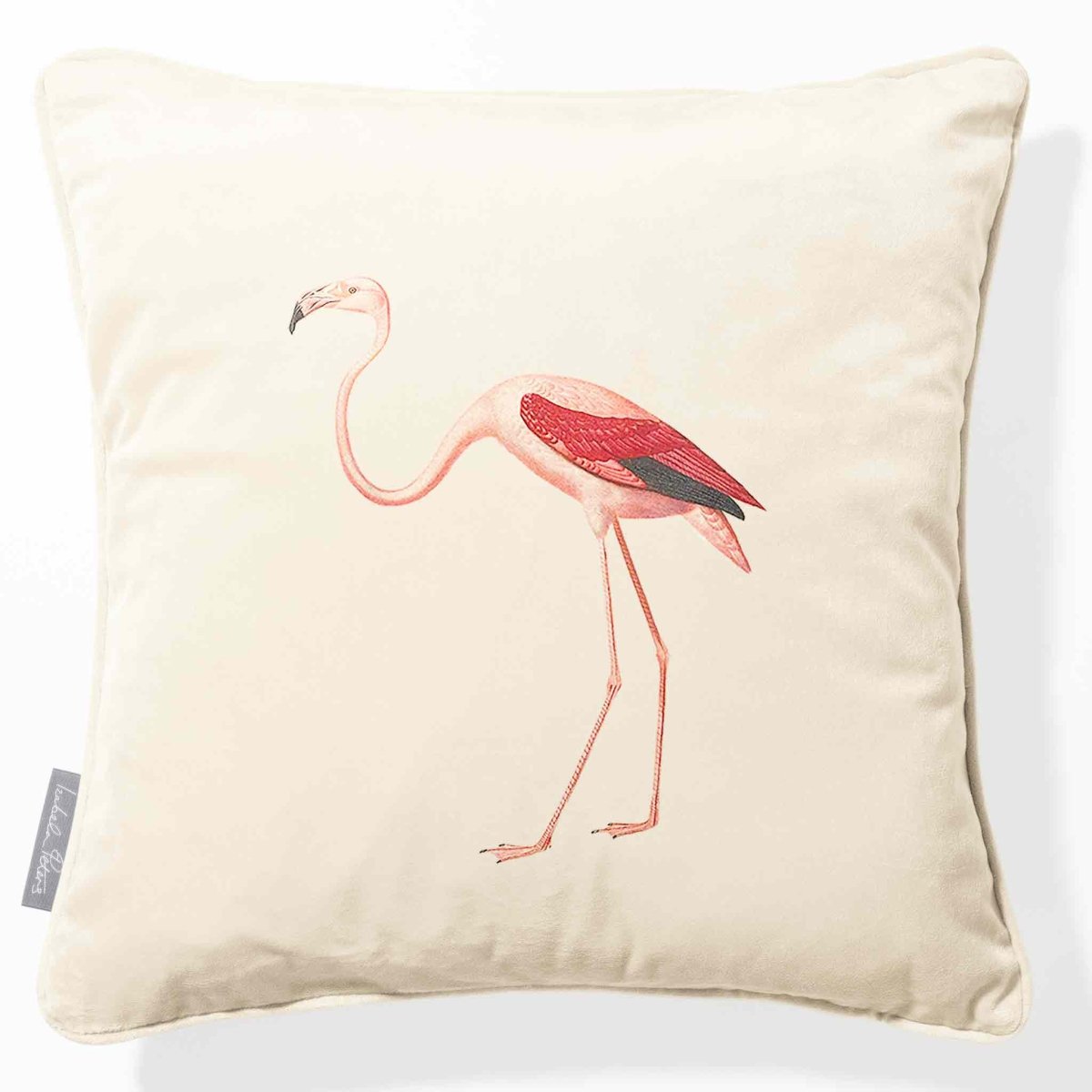 Flamingo | Sustainable Velvet Cushion - Ivory Cream 40 x 40 cm Piped by Izabela Peters