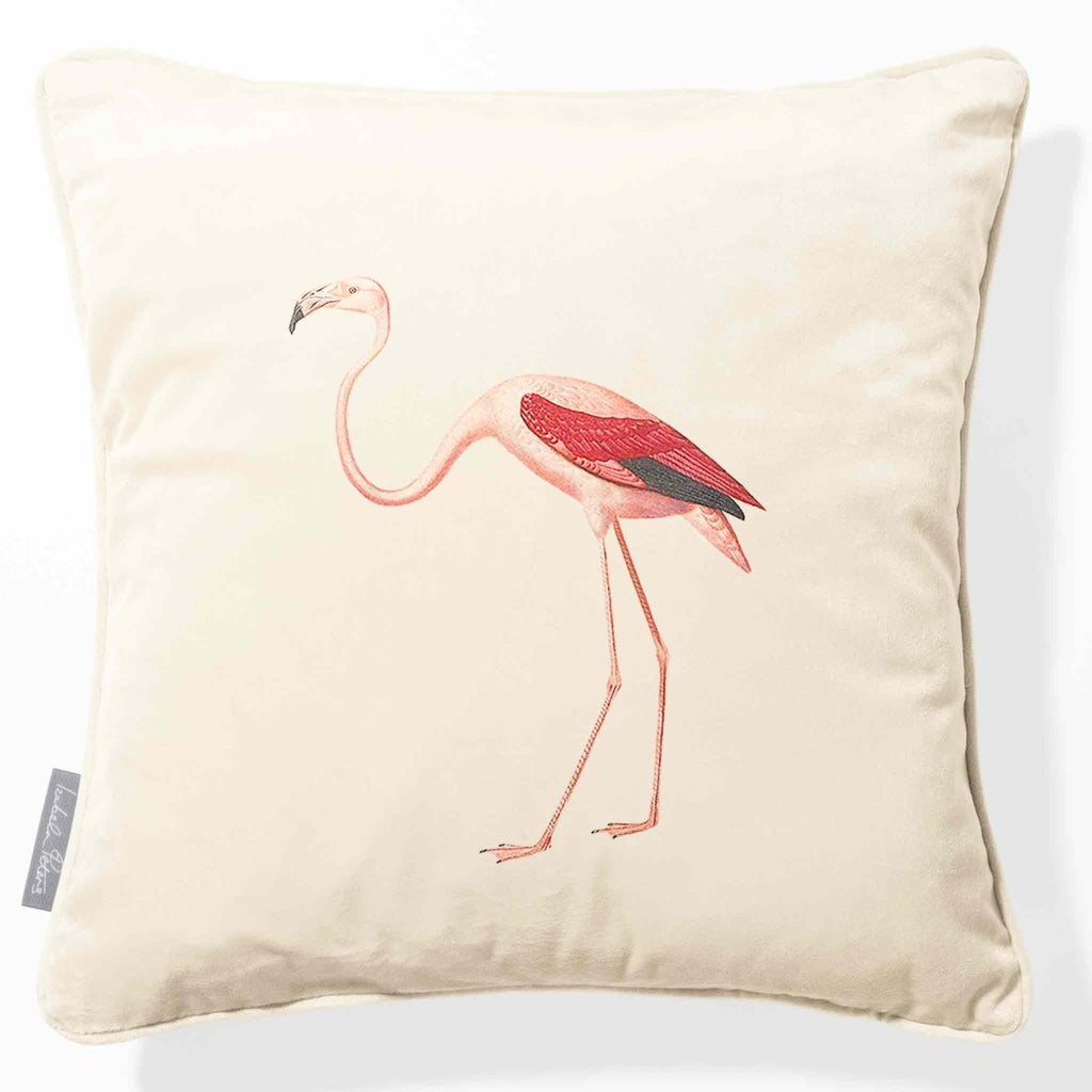 Flamingo | Sustainable Velvet Cushion - Ivory Cream 40 x 40 cm Piped by Izabela Peters