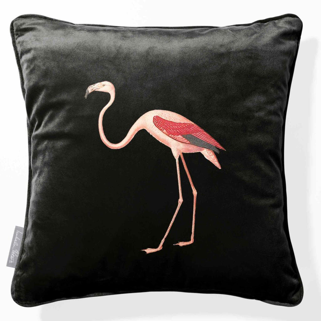 Flamingo | Sustainable Velvet Cushion - Charcoal 40 x 40 cm Piped by Izabela Peters