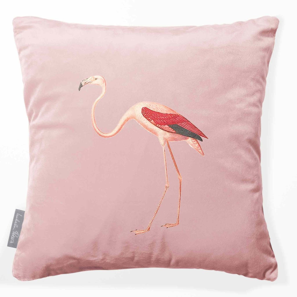 Flamingo | Sustainable Velvet Cushion - Rosewater 40 x 40 cm Smooth by Izabela Peters