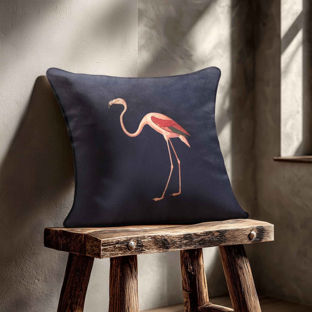 Flamingo | Sustainable Velvet Cushion - Graphite 40 x 40 cm Standard by Izabela Peters