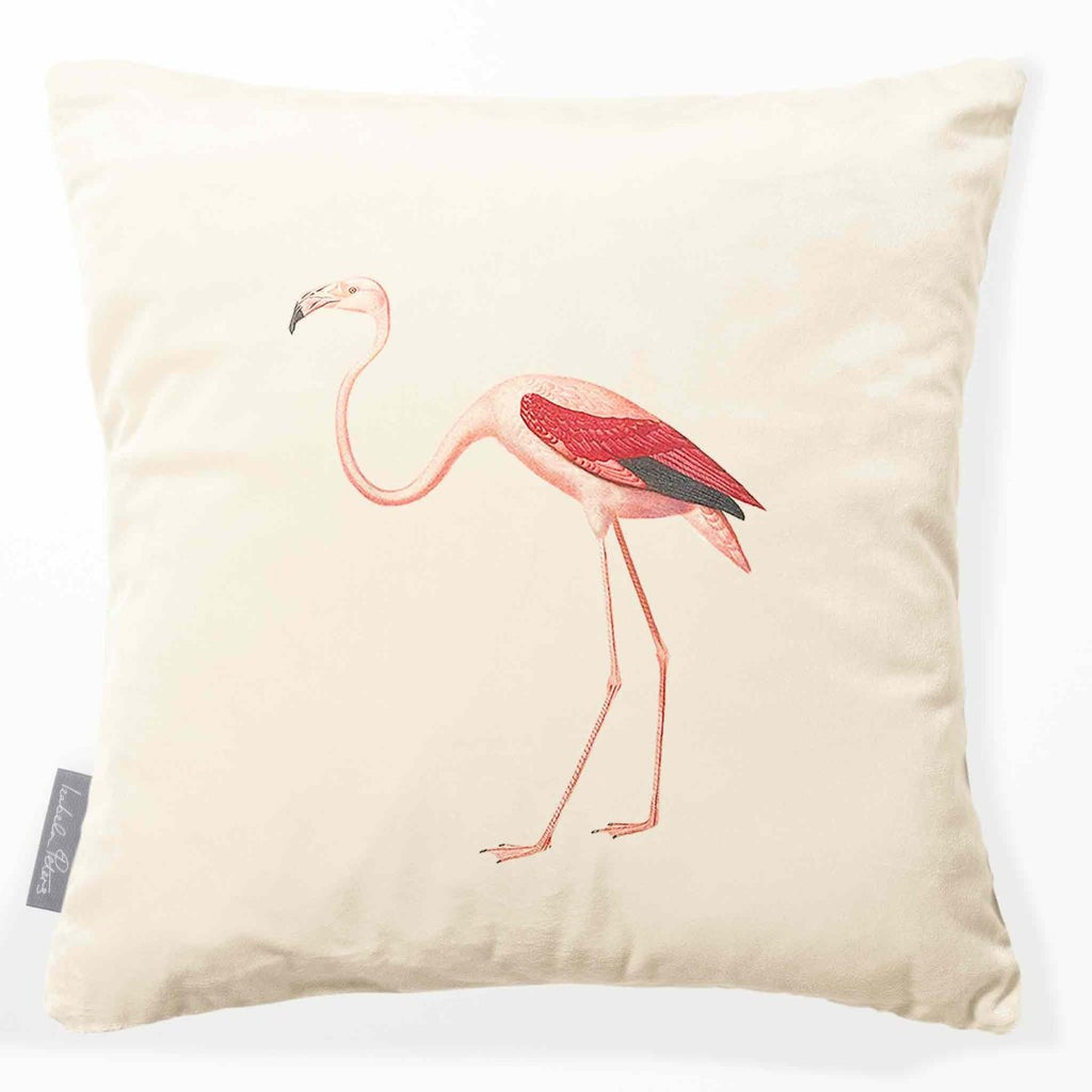 Flamingo | Sustainable Velvet Cushion - Ivory Cream 40 x 40 cm Smooth by Izabela Peters