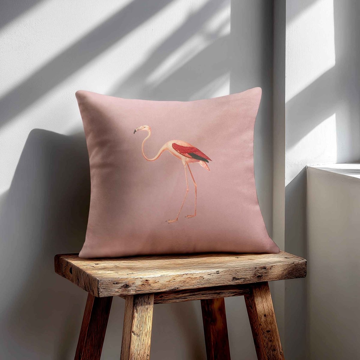 Flamingo | Sustainable Velvet Cushion - Rosewater 40 x 40 cm Standard by Izabela Peters