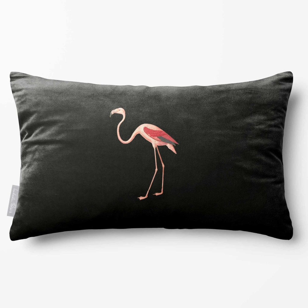 Flamingo | Sustainable Velvet Rectangle Cushion - Charcoal 50 x 30 cm Standard by Izabela Peters