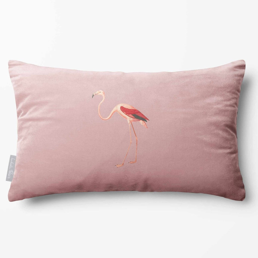 Flamingo | Sustainable Velvet Rectangle Cushion - Rosewater 50 x 30 cm Standard by Izabela Peters