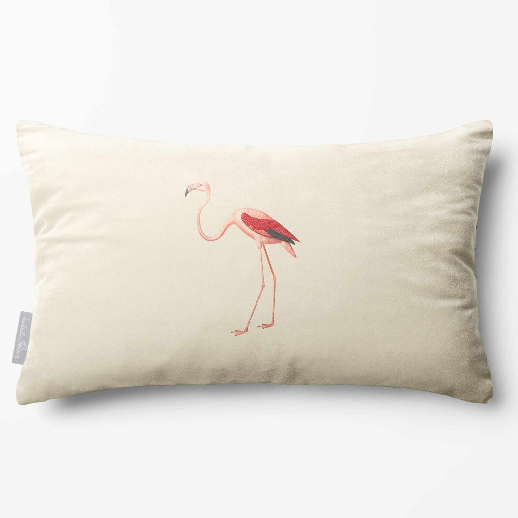 Flamingo | Sustainable Velvet Rectangle Cushion - Ivory Cream 50 x 30 cm Standard by Izabela Peters