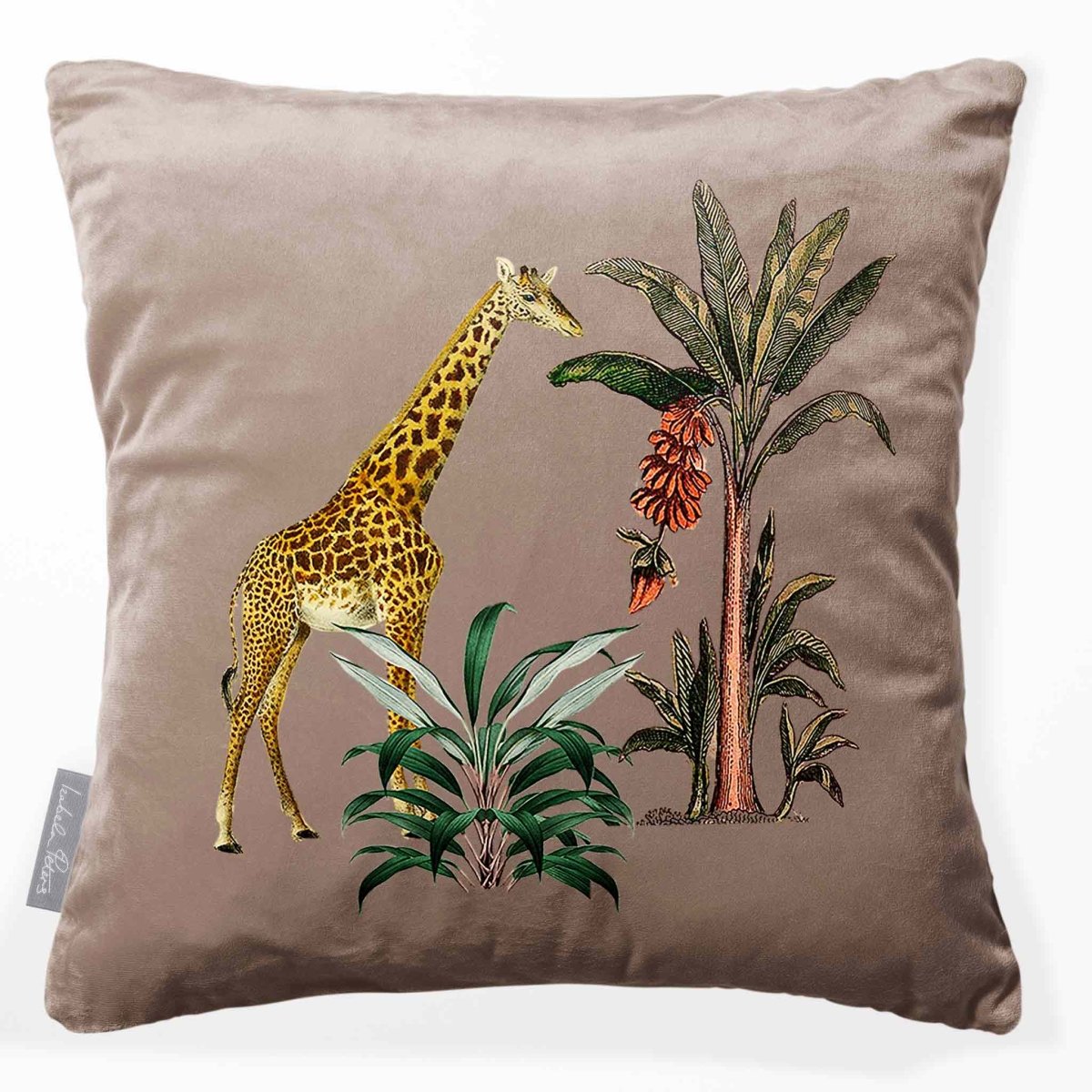 Giraffe | Sustainable Velvet Cushion - Dovedale Stone 40 x 40 cm Smooth by Izabela Peters