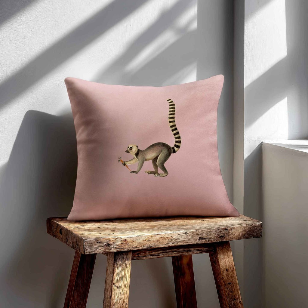 Lemur | Sustainable Velvet Cushion - Rosewater 40 x 40 cm Standard by Izabela Peters