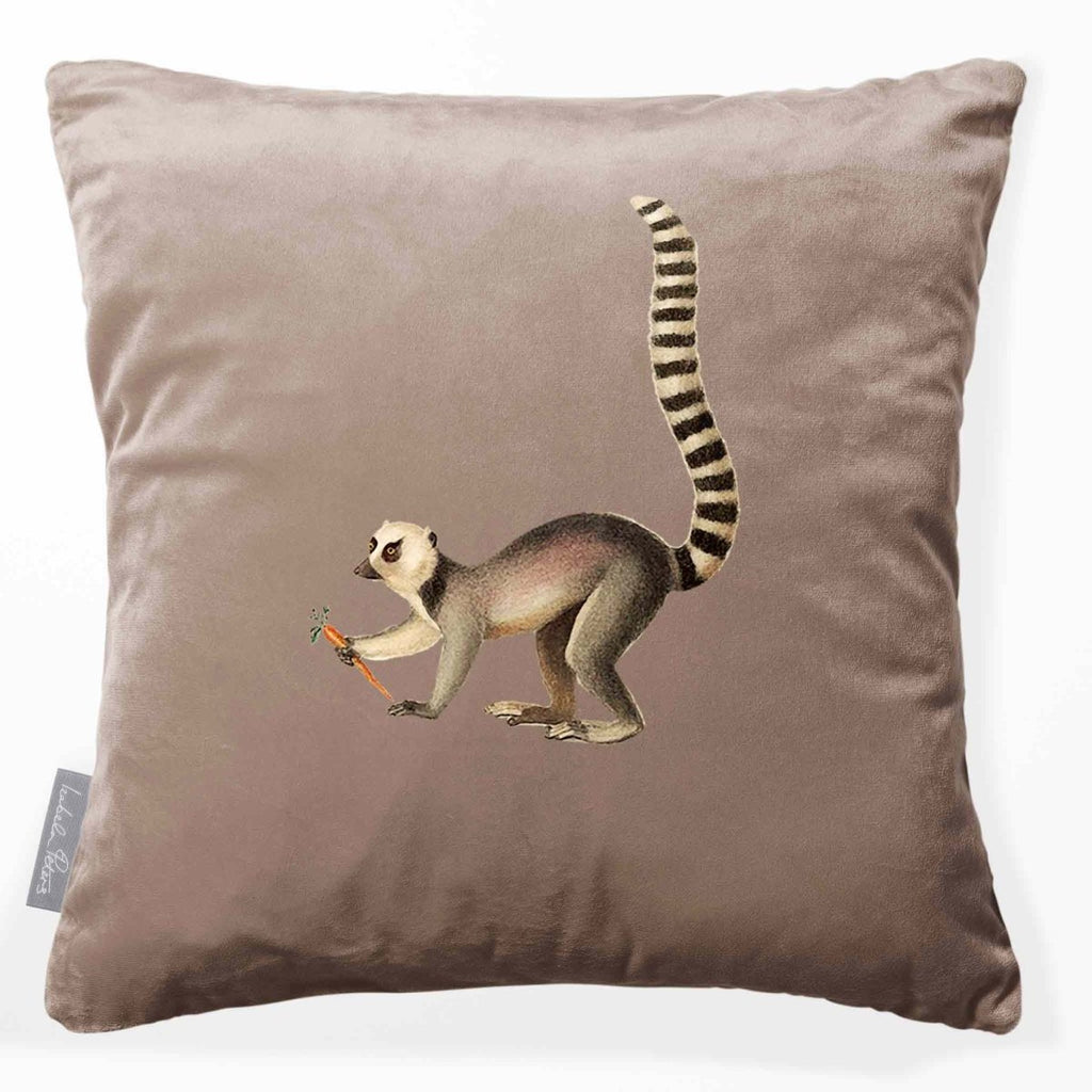 Lemur | Sustainable Velvet Cushion - Dovedale Stone 40 x 40 cm Smooth by Izabela Peters