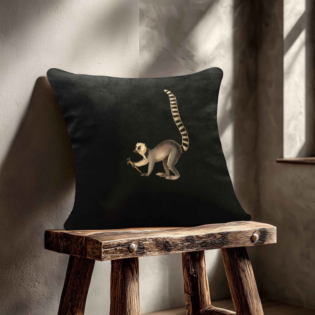 Lemur | Sustainable Velvet Cushion - Charcoal 40 x 40 cm Standard by Izabela Peters