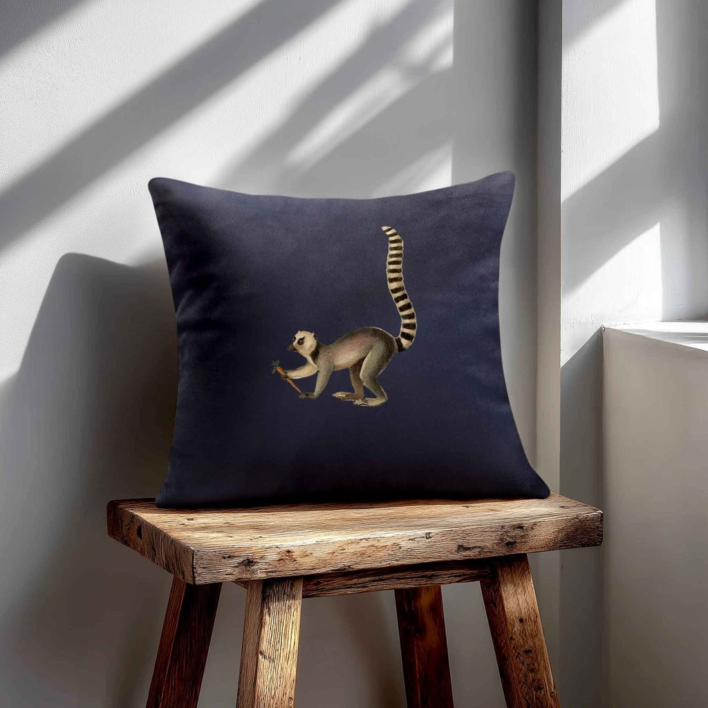 Lemur | Sustainable Velvet Cushion - Graphite 40 x 40 cm Standard by Izabela Peters