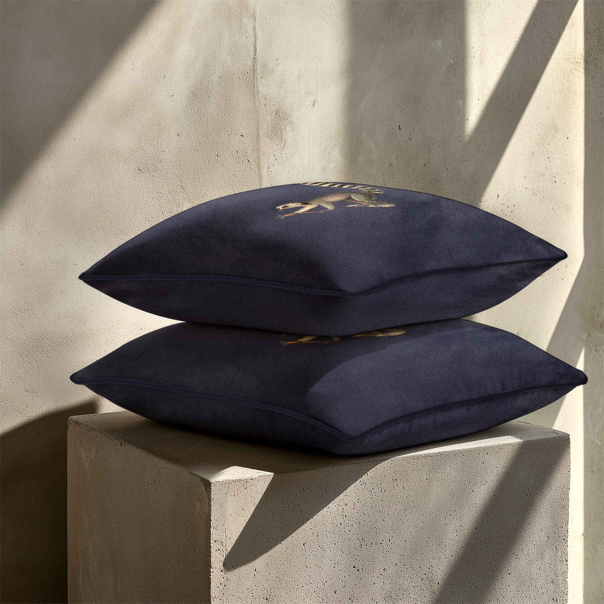 Lemur | Sustainable Velvet Cushion - Graphite 40 x 40 cm Standard by Izabela Peters