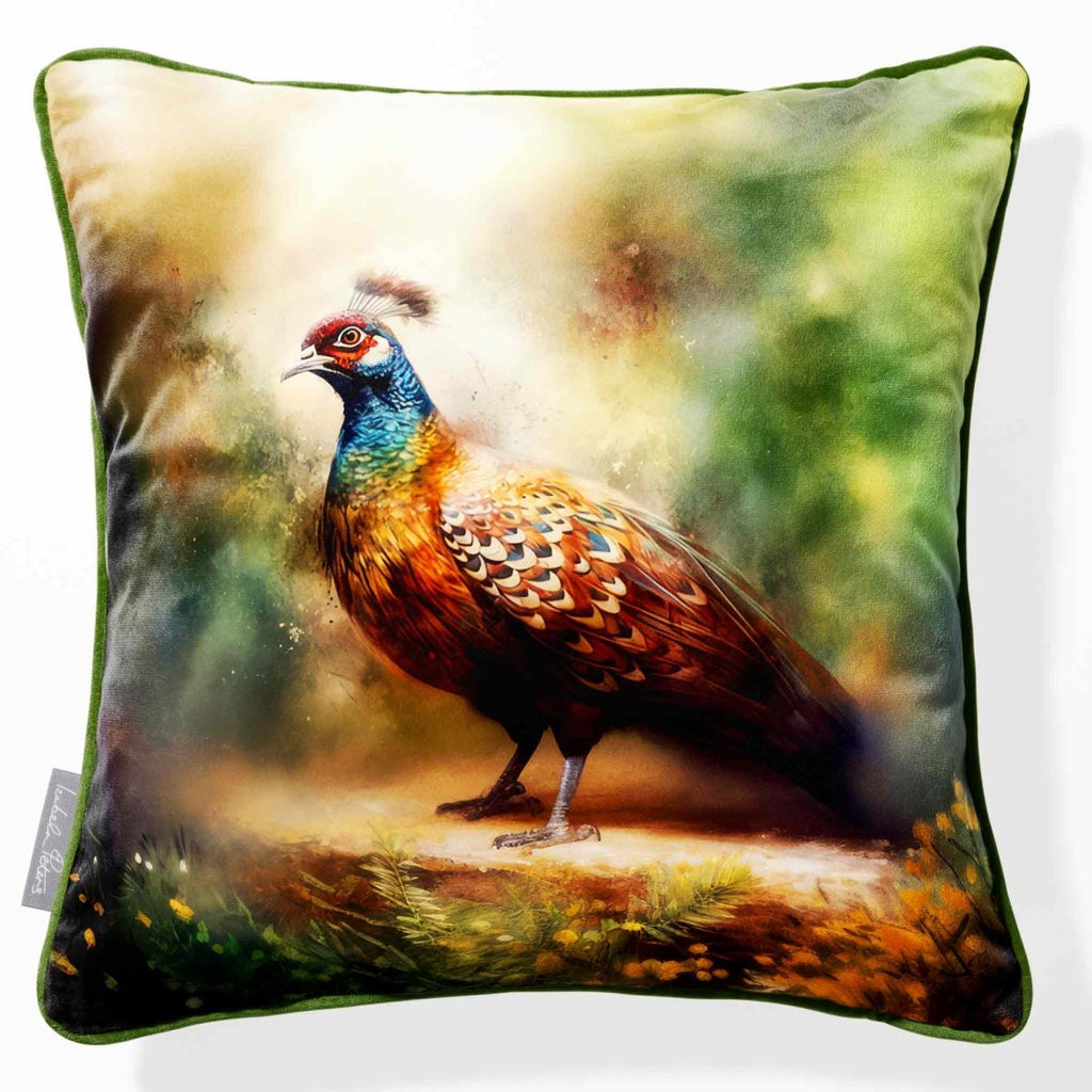 Pheasant | Sustainable Velvet Cushion - 40 x 40 cm Piped by Izabela Peters