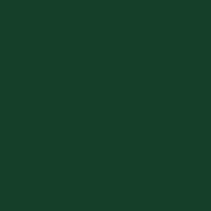 Plain Christmas table linen in green