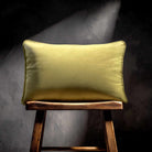 Signature Colours with Piping | Sustainable Velvet Rectangle Cushion - Ivory Cream 50 x 30 cm by Izabela Peters