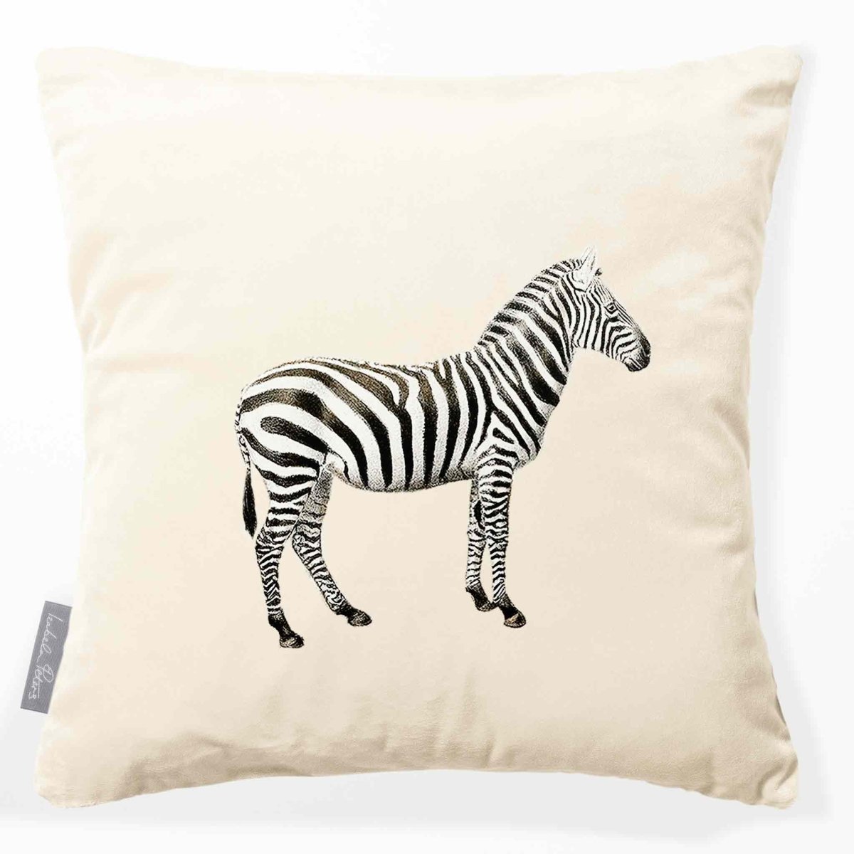 Zebra | Sustainable Velvet Cushion - Ivory Cream 40 x 40 cm Smooth by Izabela Peters