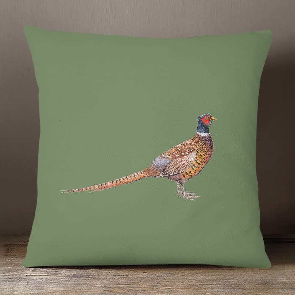 Outdoor Garden Waterproof Cushion - Pheasant - Sage 50 x 50 cm by Izabela Peters