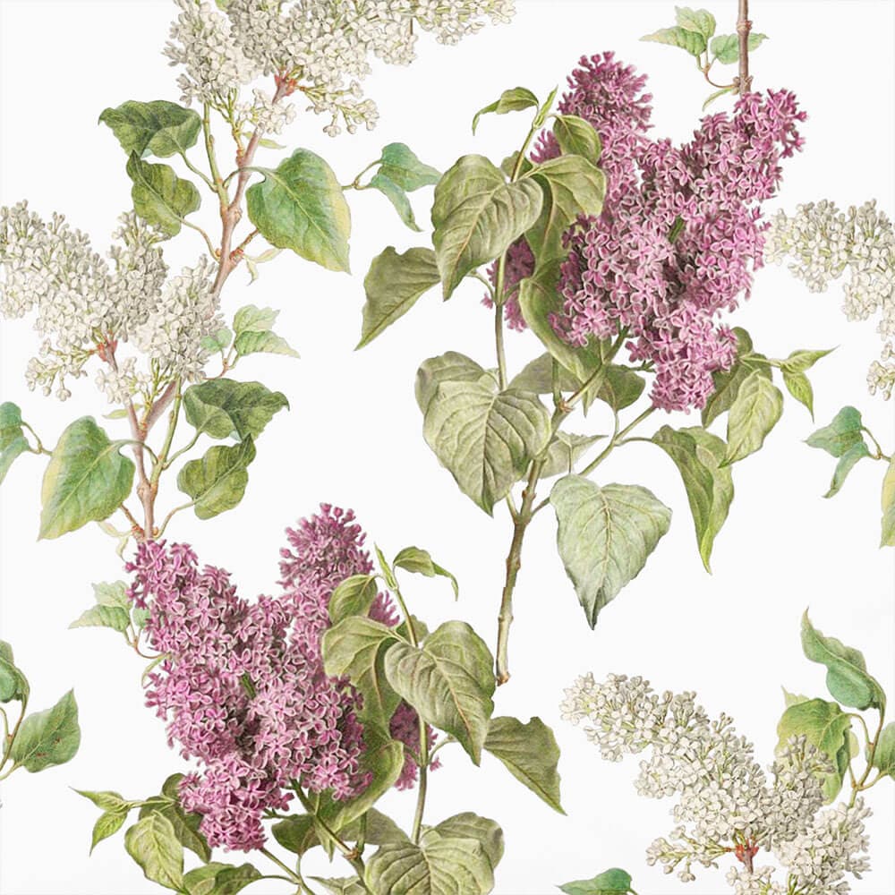 Upholstery Curtain Fabric - Luxury Eco - Friendly Velvet - Evening Garden - White by Izabela Peters
