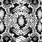 Upholstery Curtain Fabric - Luxury Eco - Friendly Velvet - Exotic Snake Print - White by Izabela Peters